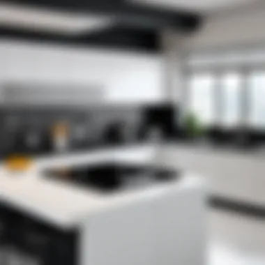 Infographic on Various Pricing Models for Kitchen Design Software Infographic on pricing models for design software