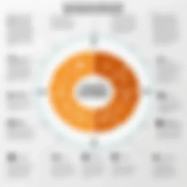 Key Features of Volunteer Database Management Systems Infographic highlighting key features of volunteer database management systems