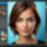 An overview of Adobe Photoshop Elements interface