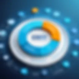 Overview of ERP program functionalities