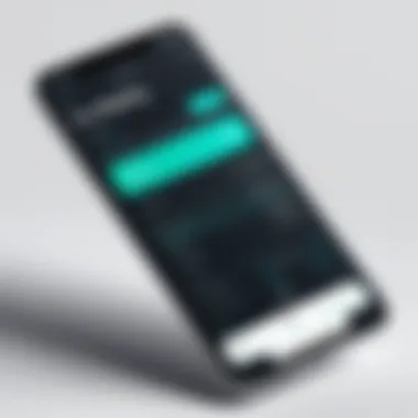 User-Friendly Interface in Bookkeeping Apps User interface of a popular bookkeeping app
