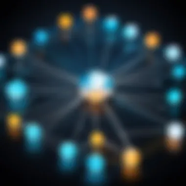 Supportive Network Framework Visual representation of a supportive network in software selection