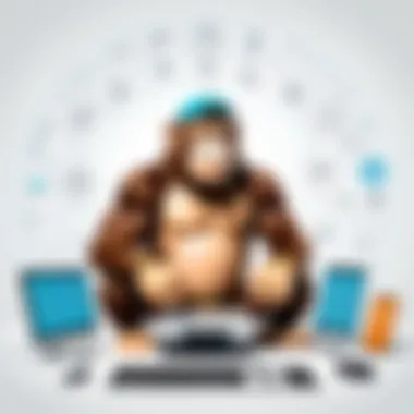 Integration Capabilities of Mailchimp Infographic detailing Mailchimp integration capabilities