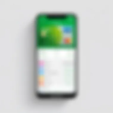 User-Friendly Cash App Interface Cash App interface showcasing user-friendly design