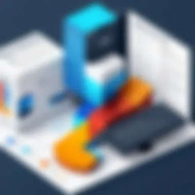 Customization Options in ERP Solutions Infographic on customization options in ERP solutions