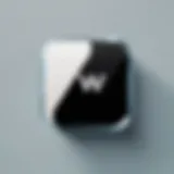 WeTransfer logo showcasing its modern design